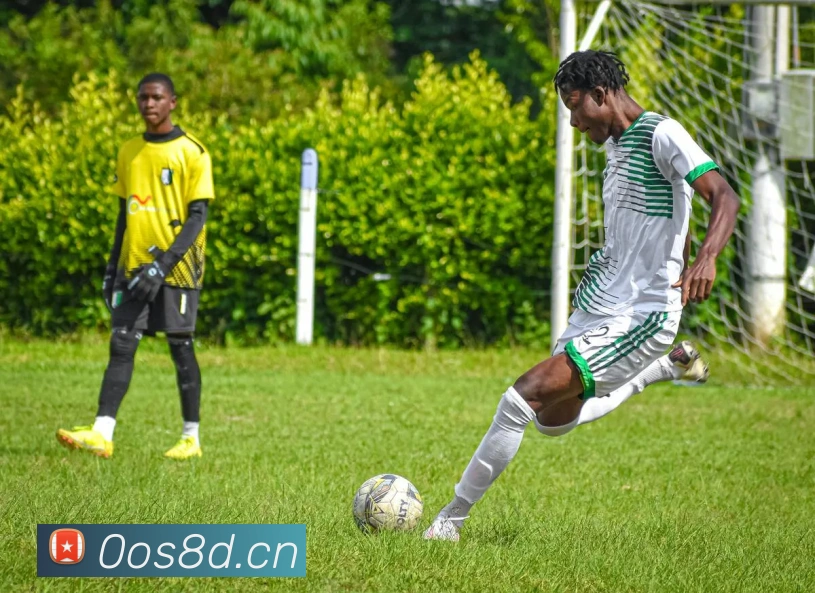 leyu乐鱼网页版在线登录平台生态图